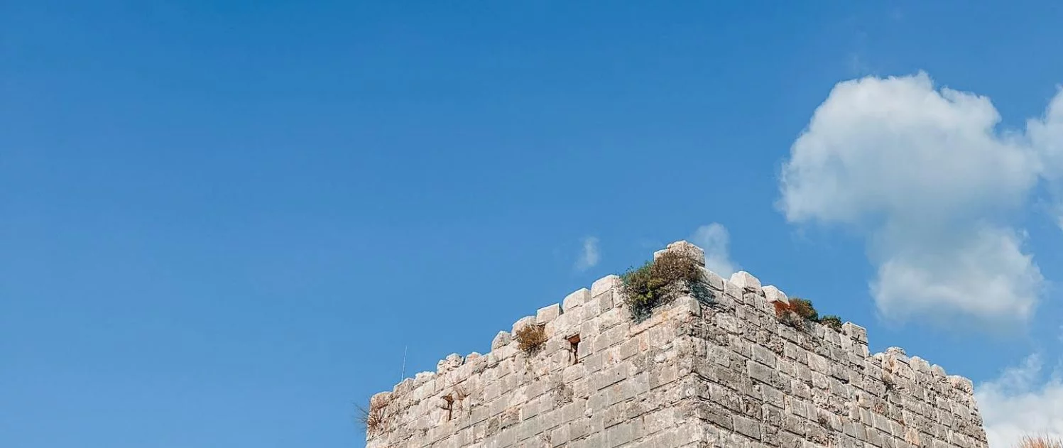 لا تستطيع ان تحبه