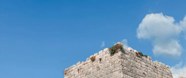 لا تستطيع ان تحبه